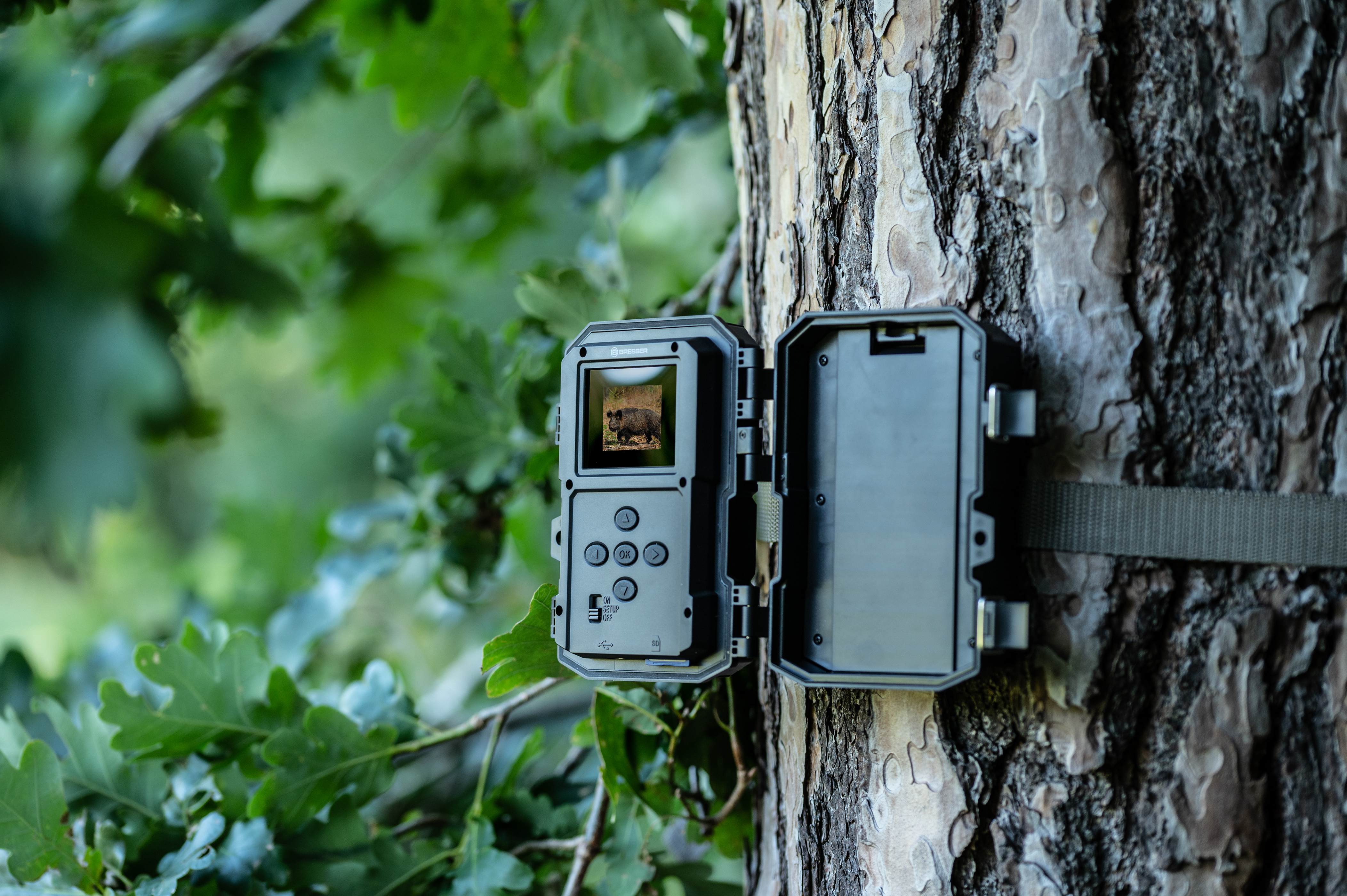 BRESSER 60° wildlife observation camera, 5-20 MP, 20 m