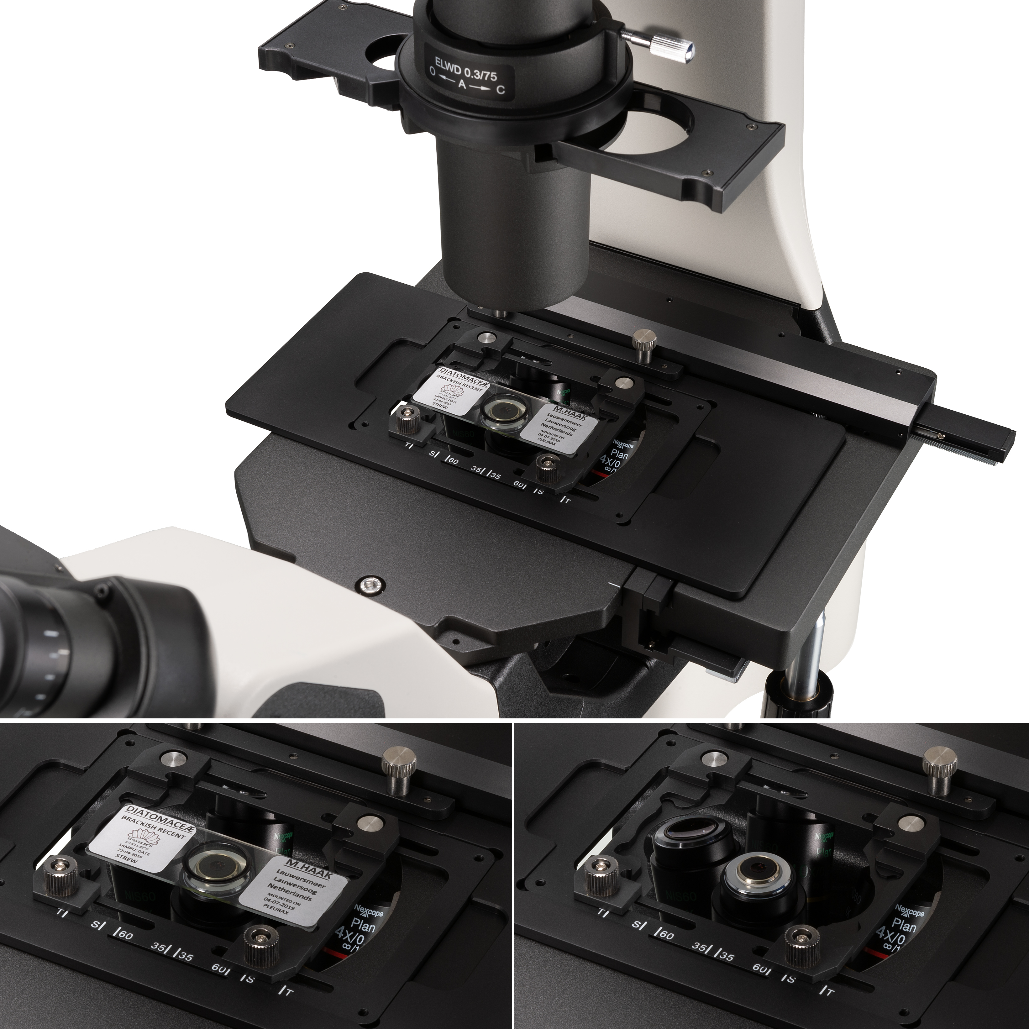 Nexcope NIB610 professional inverted laboratory microscope
