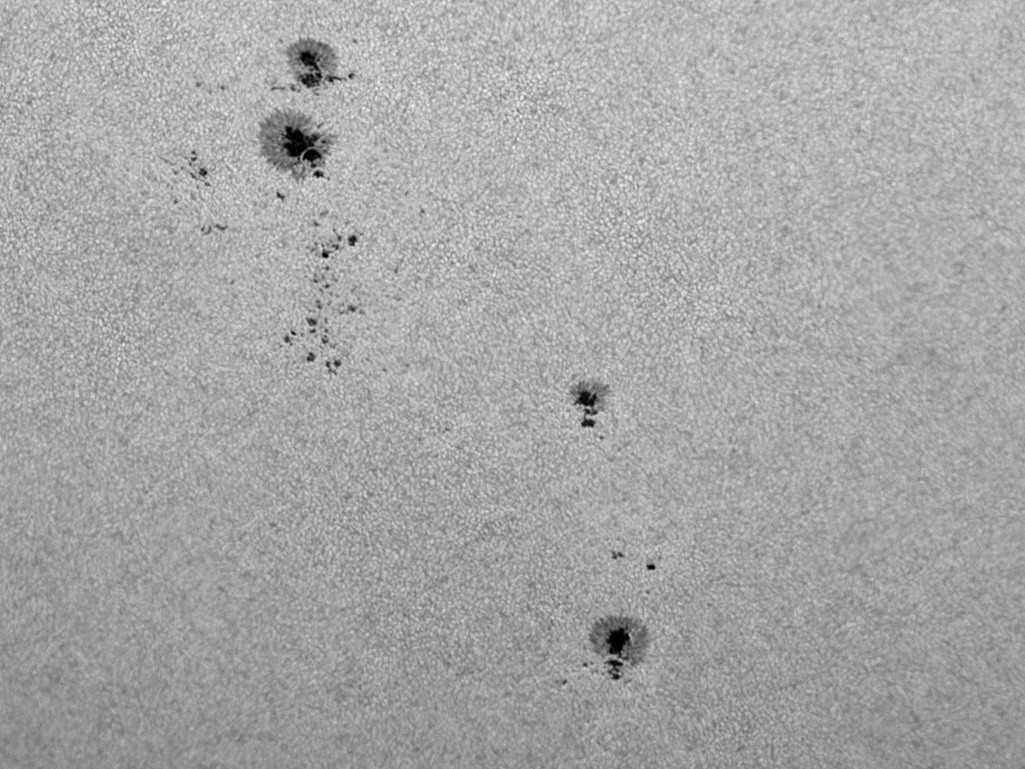 LUNT LS1.25HW 31.7mm (1.25'') Herschel Wedge