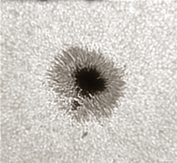 LUNT LS1.25HW 31.7mm (1.25'') Herschel Wedge
