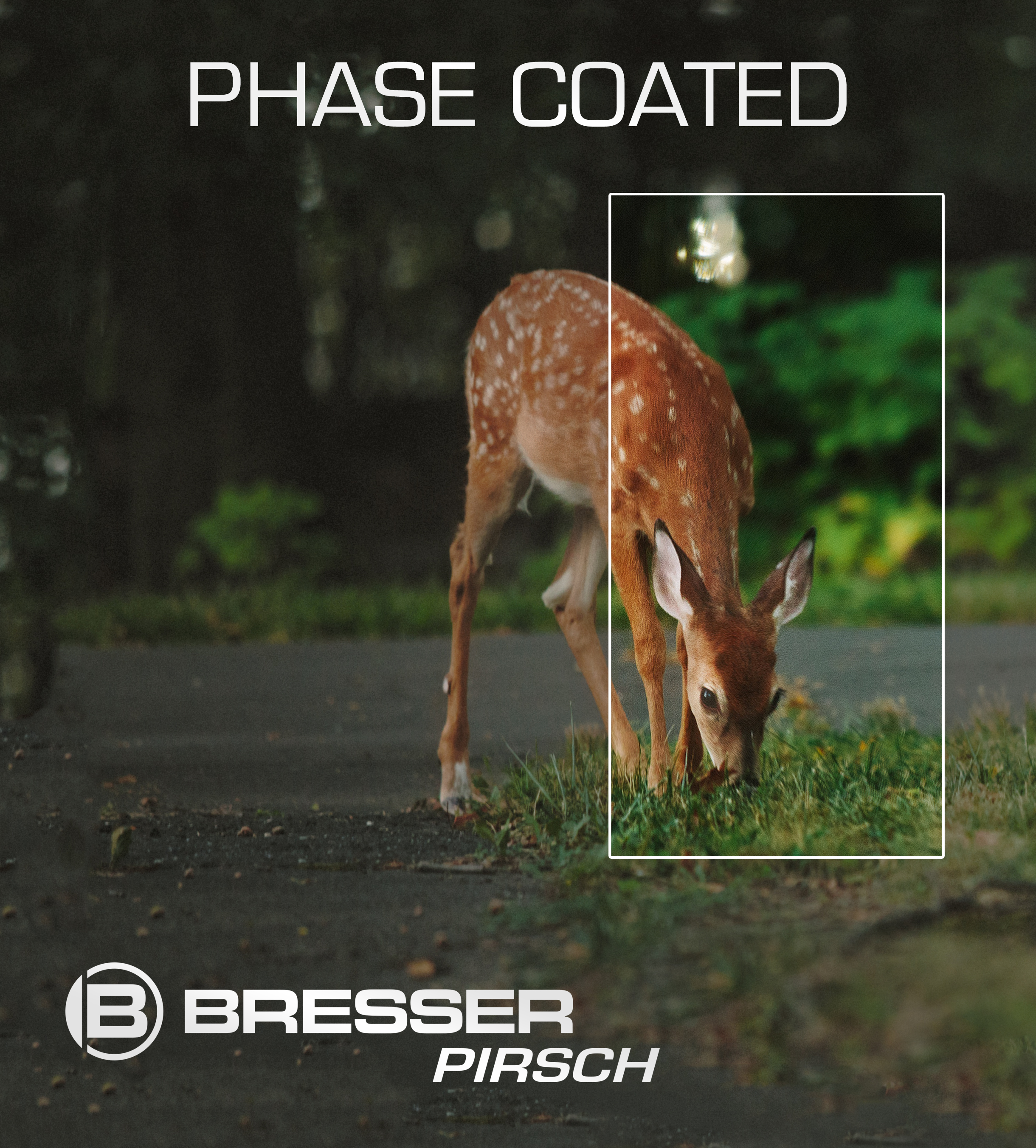 BRESSER Pirsch 10x26 Binocular with Phase Coating