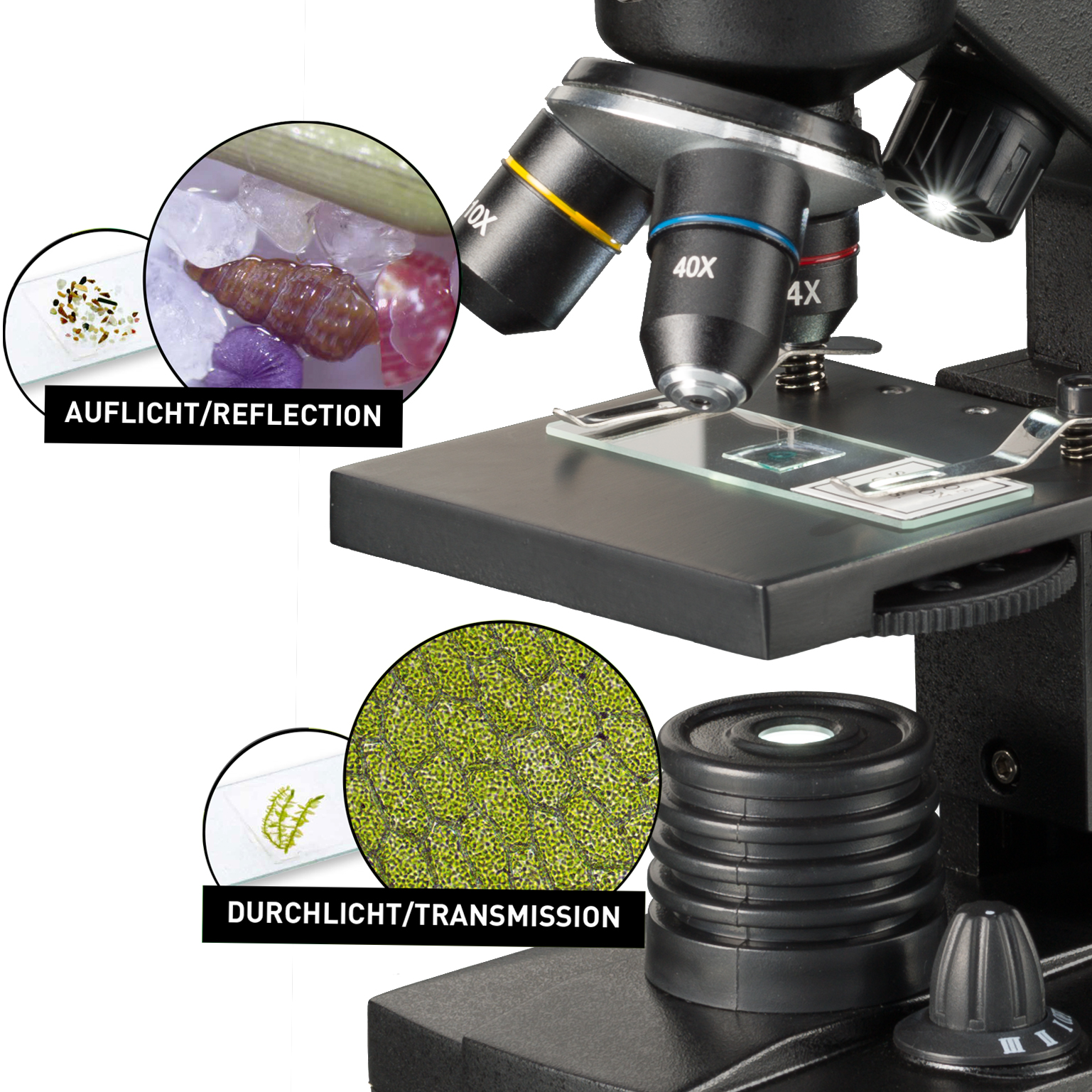 NATIONAL GEOGRAPHIC 40x-1280x Microscope with Smartphone holder